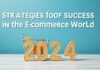 E-Ticaret Dünyasında Başarı için 2024 Yılı Stratejileri Strategies for Success in the E-Commerce World in 2024