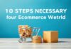 E-Ticaret Dünyasında Başarı için Gerekli 10 Adım 10 Steps Necessary for Success in the E-Commerce World