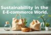 E-Ticaret Dünyasında Sürdürülebilirlik: Çevre Dostu Alışveriş Yapmak Sustainability in the E-Commerce World: Shopping in an Eco-Friendly Way